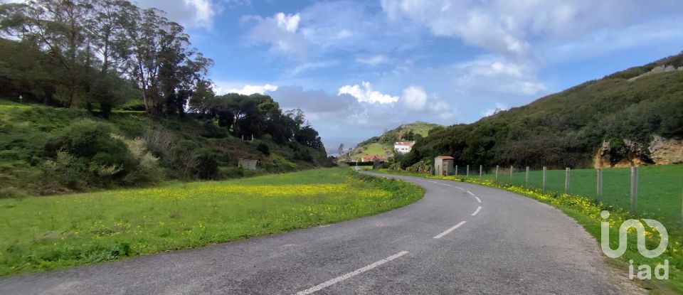 Terrain à Cadaval e Pêro Moniz de 2 600 m²