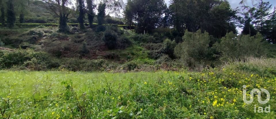 Terrain à Cadaval e Pêro Moniz de 2 600 m²