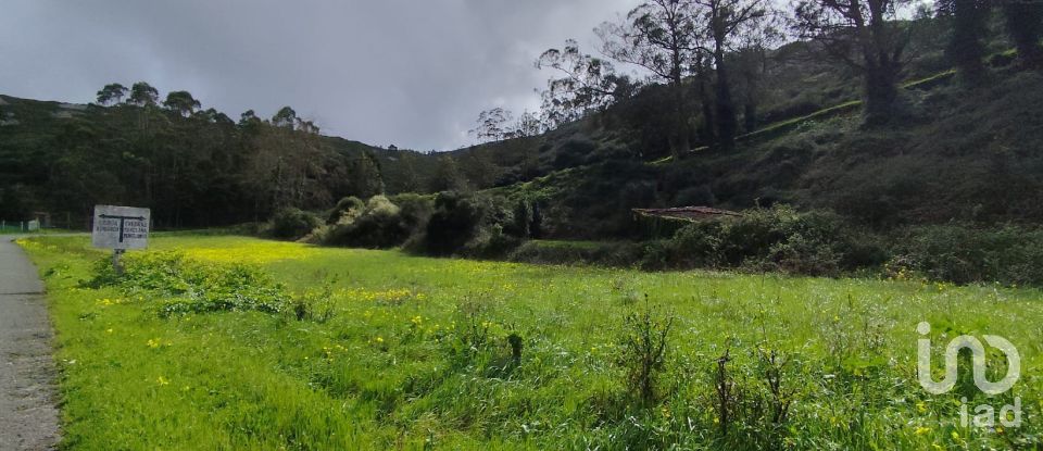 Terrain à Cadaval e Pêro Moniz de 2 600 m²