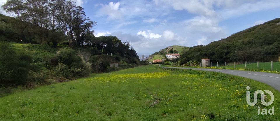 Terrain à Cadaval e Pêro Moniz de 2 600 m²