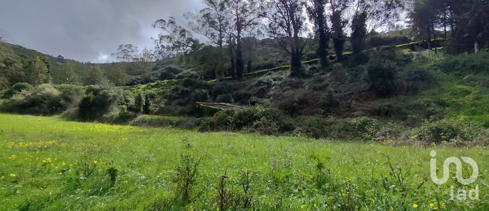 Terrain à Cadaval e Pêro Moniz de 2 600 m²