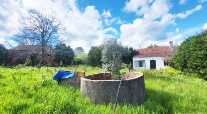 Moradia T3 em Beco de 69 m²