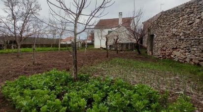 Village house T5 in Ruvina, Ruivós e Vale das Éguas of 310 m²