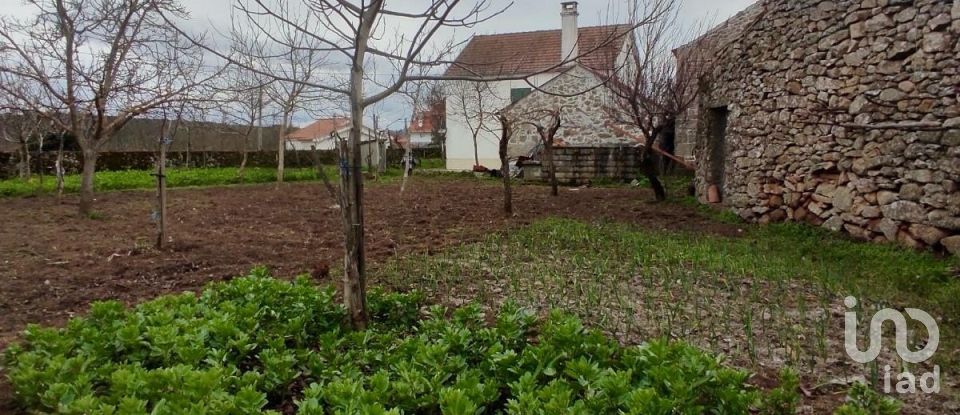 Village house T5 in Ruvina, Ruivós e Vale das Éguas of 310 m²