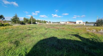 Terrain à bâtir à Lajeosa do Mondego de 3 000 m²