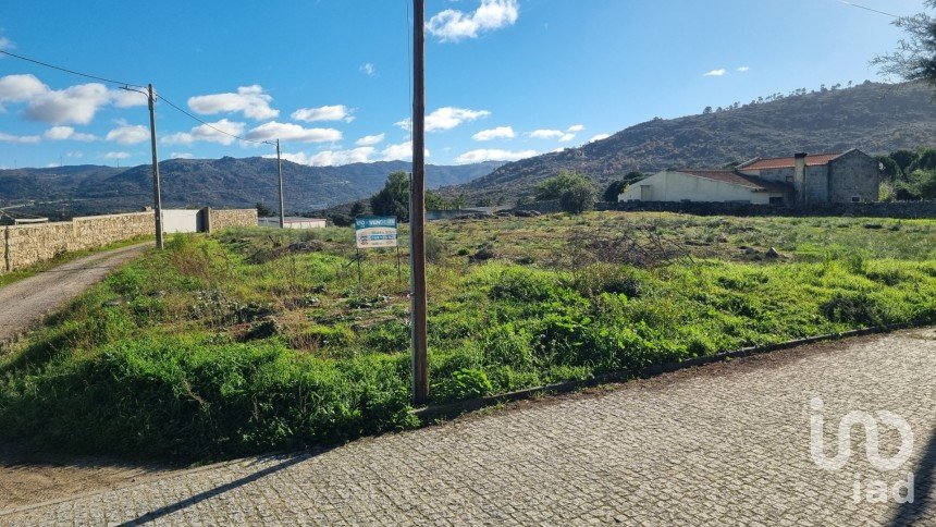 Terreno urbano em Lajeosa do Mondego de 3 000 m²