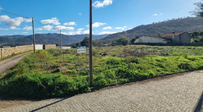 Terrain à bâtir à Lajeosa do Mondego de 3 000 m²