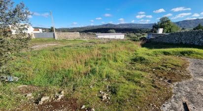 Terrain à bâtir à Lajeosa do Mondego de 3 000 m²