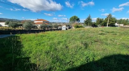 Terrain à bâtir à Lajeosa do Mondego de 3 000 m²