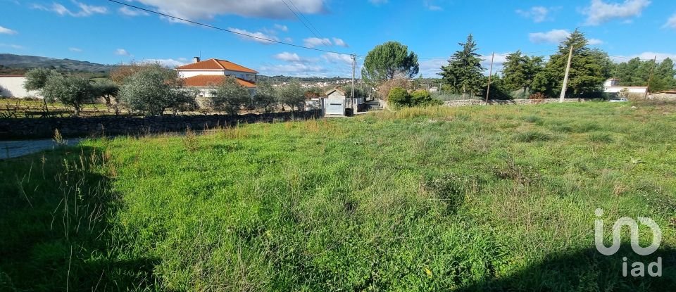 Terreno urbano em Lajeosa do Mondego de 3 000 m²