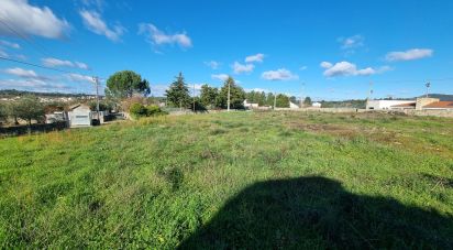 Terrain à bâtir à Lajeosa do Mondego de 3 000 m²