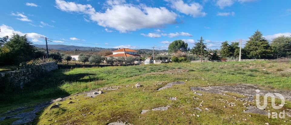 Terreno urbano em Lajeosa do Mondego de 3 000 m²