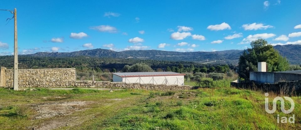 Terreno urbano em Lajeosa do Mondego de 3 000 m²