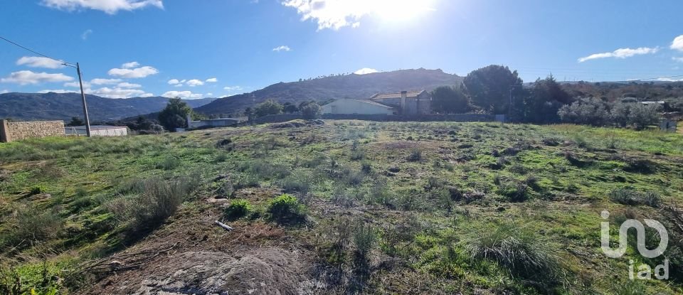 Terreno urbano em Lajeosa do Mondego de 3 000 m²