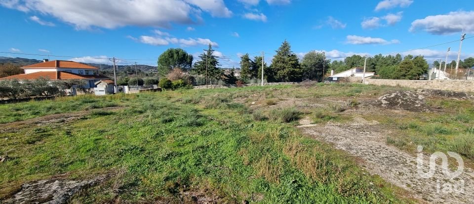 Terreno urbano em Lajeosa do Mondego de 3 000 m²