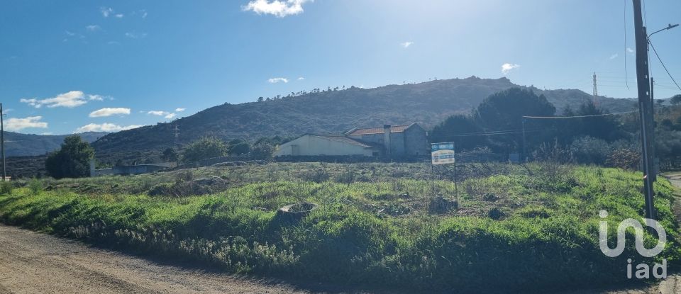 Terreno urbano em Lajeosa do Mondego de 3 000 m²