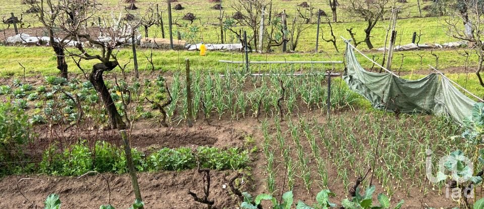 Moradia T9 em São Pedro do Sul, Várzea e Baiões de 413 m²