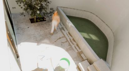 Apartment T2 in Santa Maria Maior of 120 m²