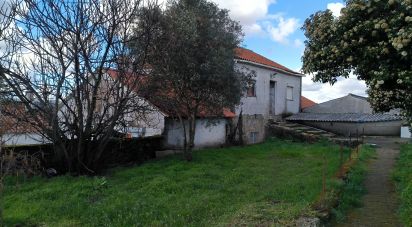 Domaine T5 in João Antão of 228 m²