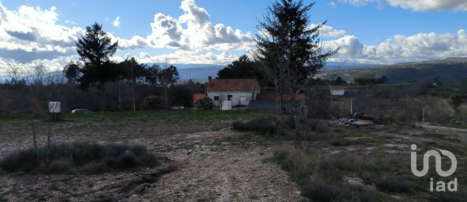 Domaine T5 in João Antão of 228 m²