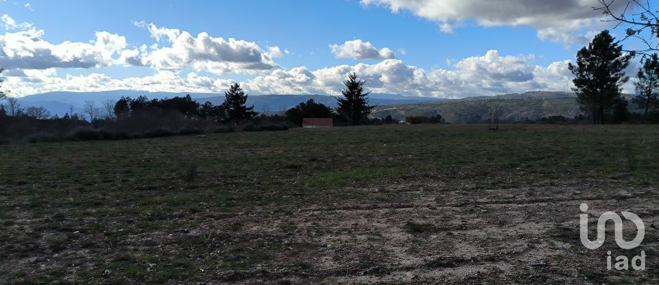 Domaine T5 in João Antão of 228 m²