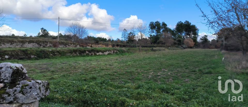 Domaine T5 in João Antão of 228 m²