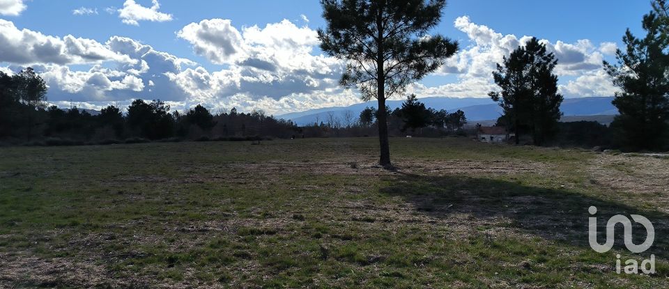 Domaine T5 in João Antão of 228 m²