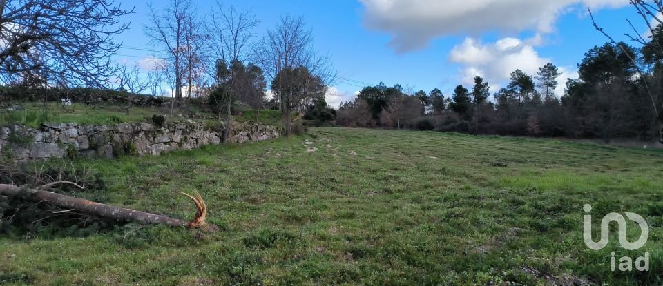 Domaine T5 in João Antão of 228 m²