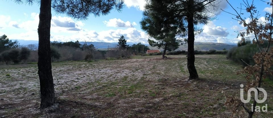 Domaine T5 in João Antão of 228 m²