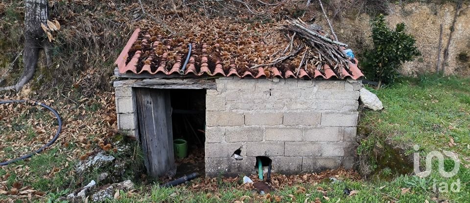 Domaine T5 in João Antão of 228 m²