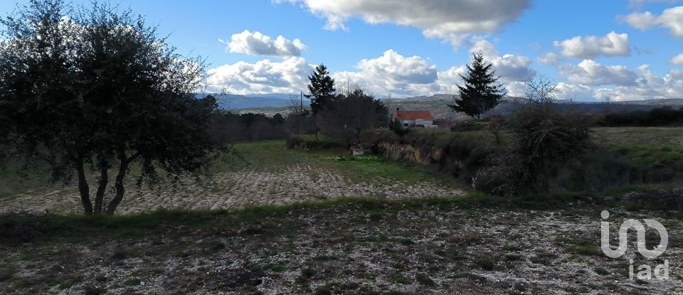 Domaine T5 in João Antão of 228 m²