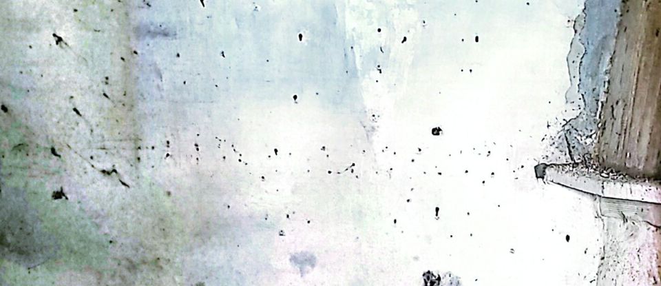 Maison T6 à Parada de Gonta de 161 m²