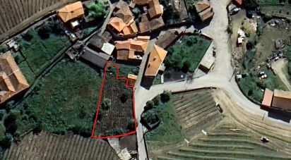 Terrain à Fontelas de 775 m²