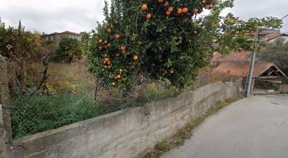 Terrain à Fontelas de 775 m²