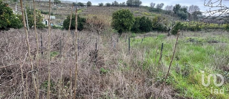 Land in Fontelas of 775 m²