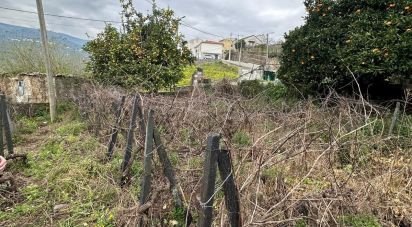 Terrain à Fontelas de 775 m²