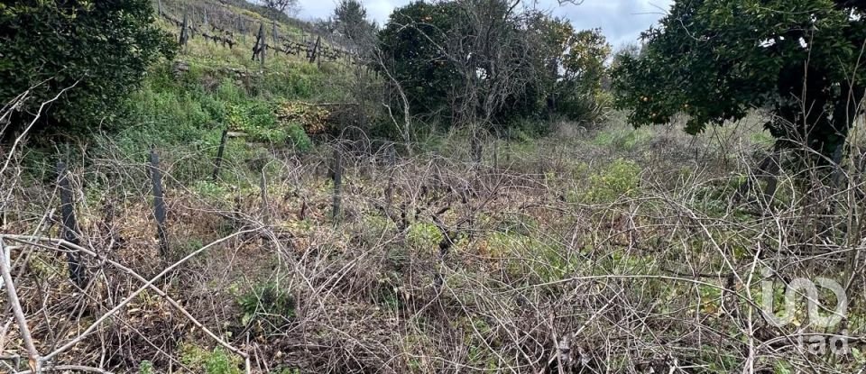 Land in Fontelas of 775 m²