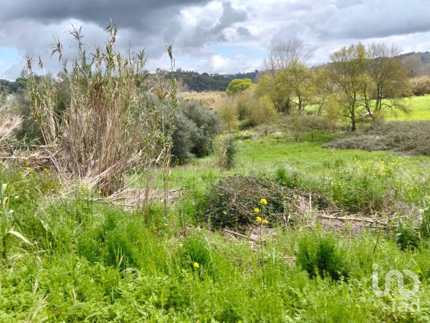 Terrain à Outeiro da Cortiçada e Arruda dos Pisões de 1 540 m²