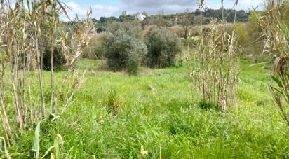 Land in Outeiro da Cortiçada e Arruda dos Pisões of 1,540 m²