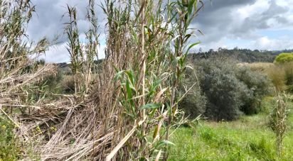 Land in Outeiro da Cortiçada e Arruda dos Pisões of 1,540 m²