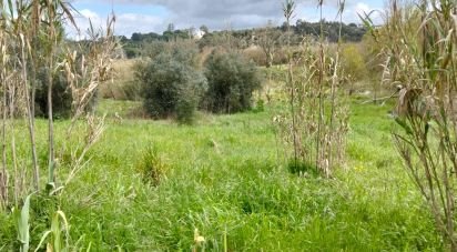 Land in Outeiro da Cortiçada e Arruda dos Pisões of 1,540 m²