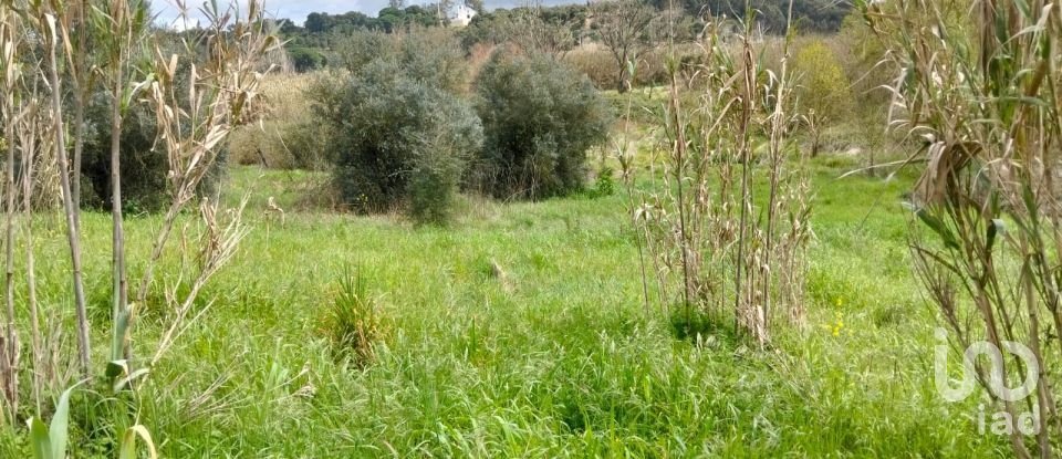 Terrain à Outeiro da Cortiçada e Arruda dos Pisões de 1 540 m²
