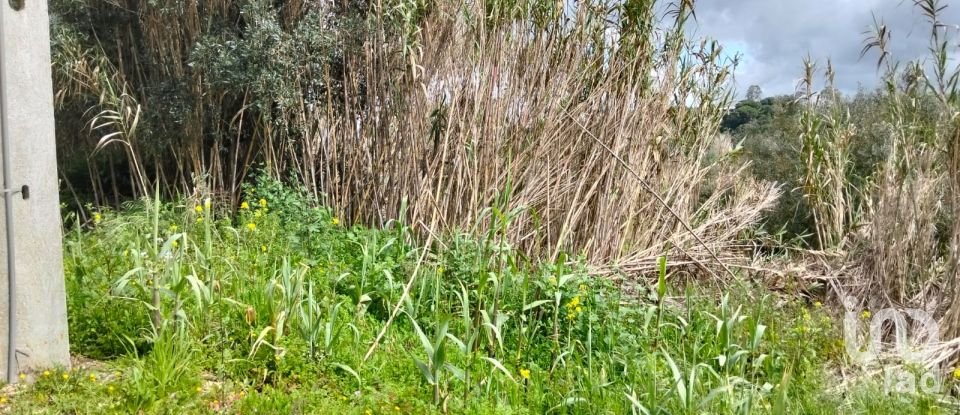 Terrain à Outeiro da Cortiçada e Arruda dos Pisões de 1 540 m²