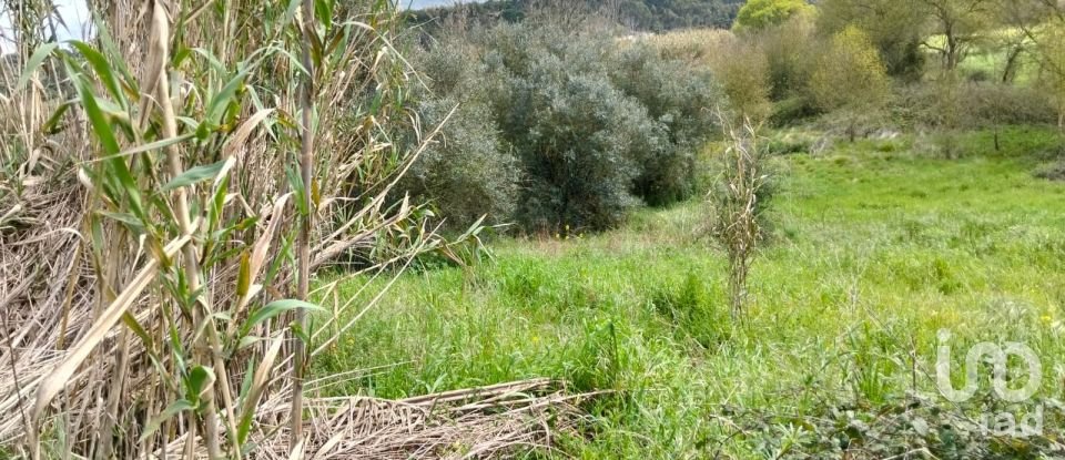 Terrain à Outeiro da Cortiçada e Arruda dos Pisões de 1 540 m²