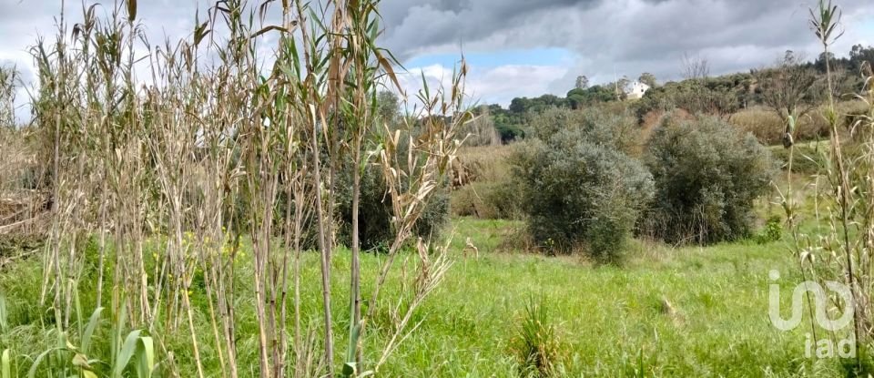 Terrain à Outeiro da Cortiçada e Arruda dos Pisões de 1 540 m²