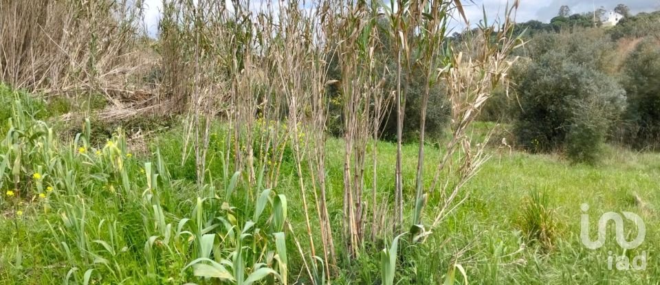 Terrain à Outeiro da Cortiçada e Arruda dos Pisões de 1 540 m²