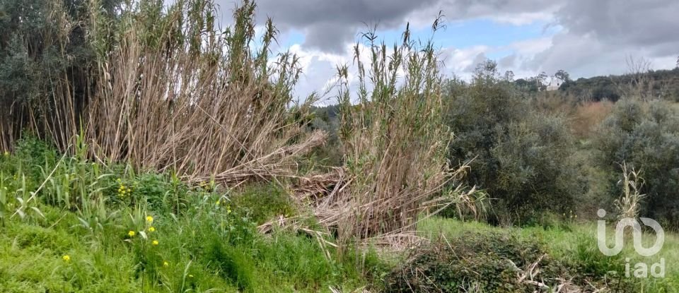 Terrain à Outeiro da Cortiçada e Arruda dos Pisões de 1 540 m²
