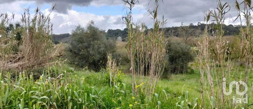Terrain à Outeiro da Cortiçada e Arruda dos Pisões de 1 540 m²