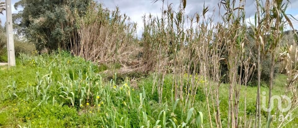 Terrain à Outeiro da Cortiçada e Arruda dos Pisões de 1 540 m²