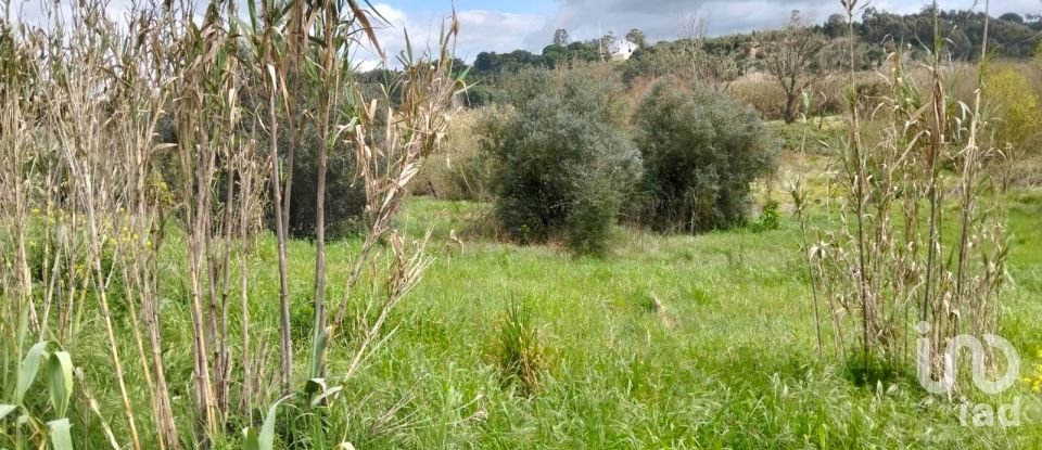 Terrain à Outeiro da Cortiçada e Arruda dos Pisões de 1 540 m²